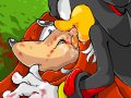 toon_1230582618639_231728_-_Knuckles_the_Echidna_manaita_SEGA_Shadow_the_Hedgehog_Sonic_Team.jpg